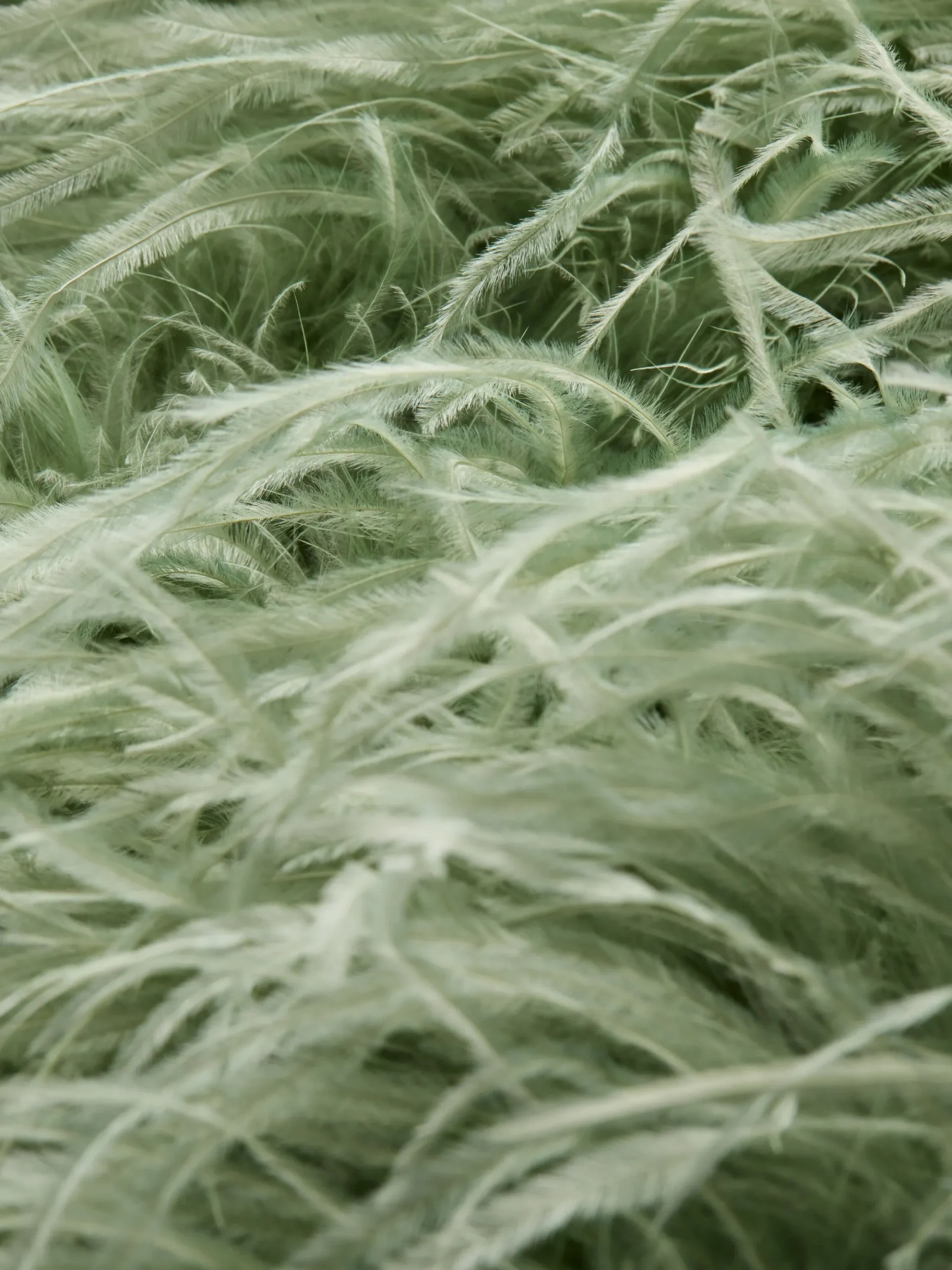 CHANDA FEATHERED VEST