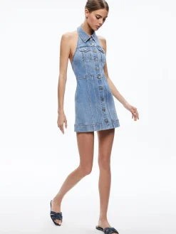 KENDALL DENIM MINI DRESS